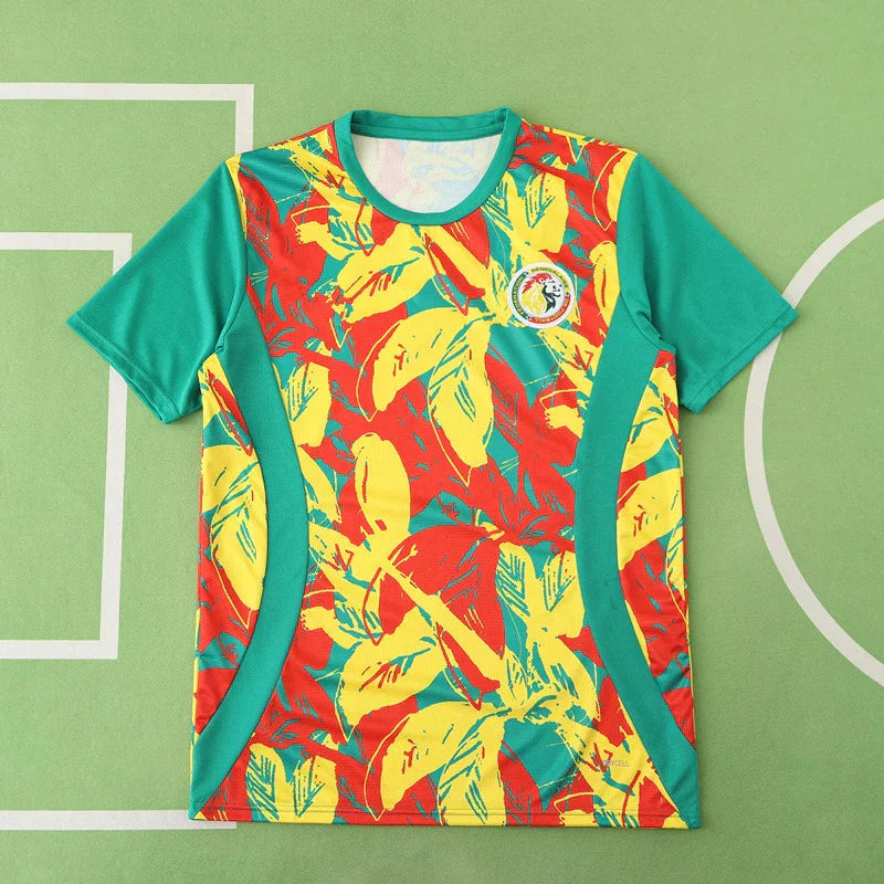 Senegal National Team Training Clothes Fan Version 25/26 Season Jersey